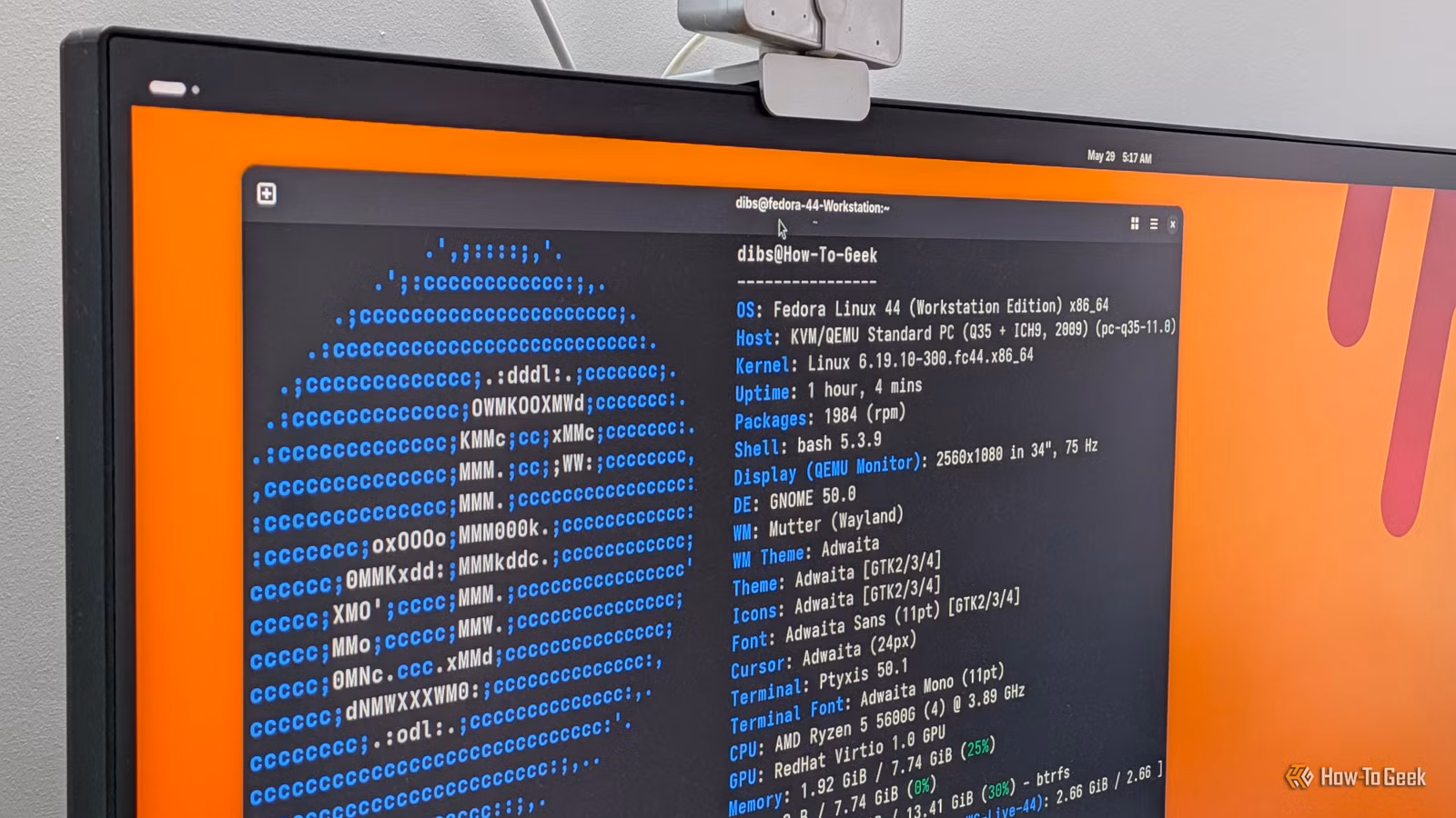 монитор с запущенным терминалом Linux и выводом данных FastFetch